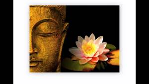 Буддизм. Мудрость тысячелетий.