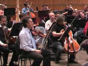 Swan Lake Adagio violin solo Адажио из Лебединого соло скрипки