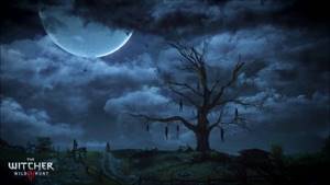 Witcher 3 - В поле спят мотыльки