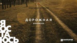 Анатолий Крупнов - Дорожная (Аудио)