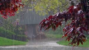 Дождь, гром, гроза Расслабляющие звуки природы Усыпляющие звуки летнего дождя