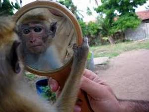 Басня Зеркало и обезьяна, Крылов, развивающие мультики, видео для детей
