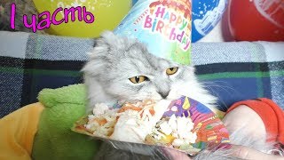 День Рождения кота Кевина | подготовка и сюрприз!