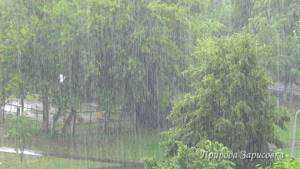 Дождь. Ливень. Гроза. Шум дождя. Звук дождя. Гром и дождь. Молнии.Проливной дождь.