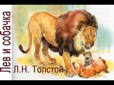 Лев и собачка Л Н Толстой Аудиорассказ