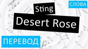 Sting - Desert Rose Перевод песни на русский Текст Слова