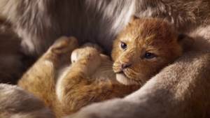 Песня l Круг жизни l Только Аудио l The Lion King 2019 I Circle of Life (Russian) l The Lion King