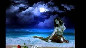 Moonlight.. ...(Vanessa Mae & Djivan Gasparyan)...