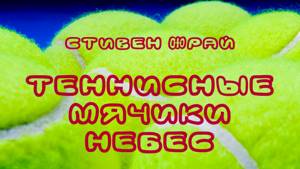 Стивен Фрай  Теннисные Мячики Небес  Аудиокнига mp4