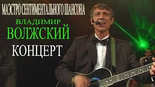 Владимир Волжский - Маэстро сентиментального шансона (Концерт)