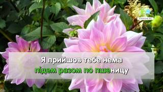 Украинские народные песни с текстами