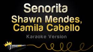 Shawn Mendes, Camila Cabello - Señorita (Karaoke Version)