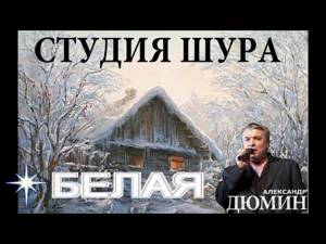 Александр Дюмин - Белая (Студия Шура) клипы шансон