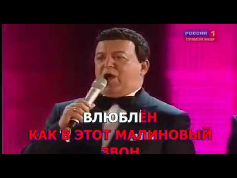 КАРАОКЕ - МАЛИНОВЫЙ ЗВОН - ШТАР, КОБЗОН (Karaoke)