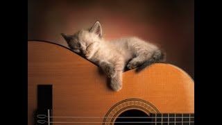 🐱 💤 Музыка для кошек и котов! Успокойте ваших кошек музыкой, помогите котам спать!