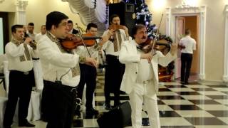 видео румынской народной музыки