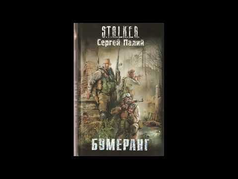 S.T.A.L.K.E.R. Бумеранг (аудиокнига) Палий Сергей