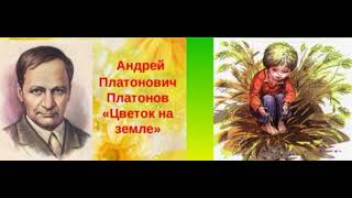 Цветок на земле —Андрей Платонов —читает Павел Беседин