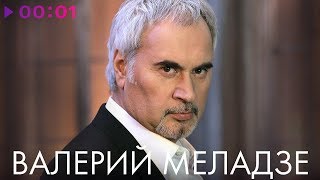 ВАЛЕРИЙ МЕЛАДЗЕ - TOP 20 - Лучшие песни