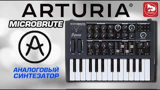 ARTURIA MICROBRUTE - аналоговый синтезатор по доступной цене