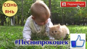 Клип "Кошка беспородная". Александра Санникова 9 лет
