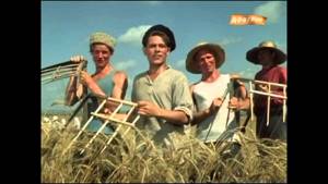 Урожайная Кубанские казаки 1949 год HD)