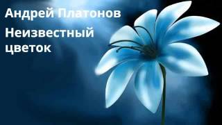 Андрей платонов неизвестный цветок аудиокнига