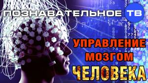 Управление мозгом человека (Познавательное ТВ, Сергей Савельев)