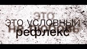 Настя Любимова ft.St1m -Мода На Любовь (Lyric Video)
