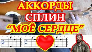 Моё сердце Аккорды Сплин Васильев песни на гитаре без баррэ Табы Бой Текст