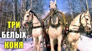 Три белых коня - фильм Чародеи караоке