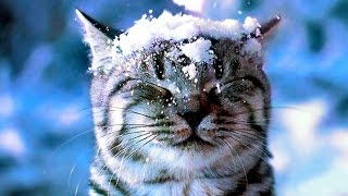 Русские народные песни про зиму и новый год