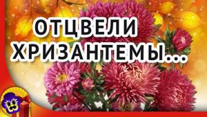 Старинный русский романс 🌼 Отцвели уж давно хризантемы в саду