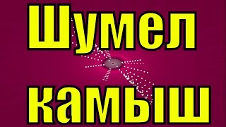 Песня Шумел камыш русская застольная русские народные песни
