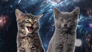 Песня мяу, мяу  - часовая версия | Space Cats 1 hour version