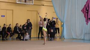 Художественная гимнастика. Чемпионат Черниговской области