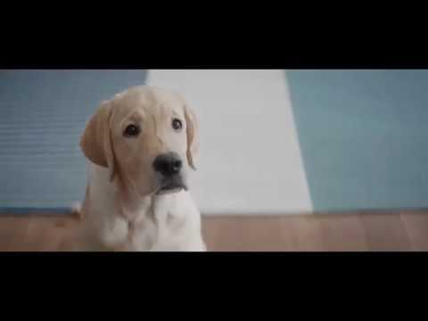 Музыка из рекламы Askona - Спите, чтобы жить (Россия) (2017)