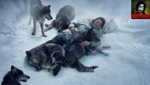 История о том, как волки спасли человека! Трогательная история до слез!