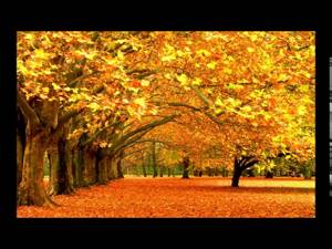 Нежданно осень наступила | песня на Жатву