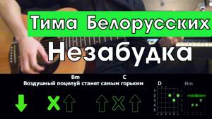 Тима Белорусских - Незабудка \ Разбор песни на гитаре \ Аккорды и бой
