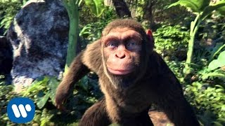 видео клип танцуют обезьяны песни