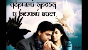 Shahrukh & Sushmita | Чёрный дрозд и Белый аист