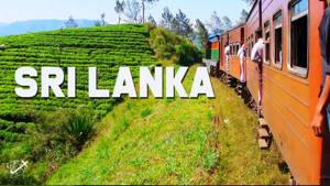 13 Things to do in Sri Lanka | Travel Guide | The Planet D | Travel Vlog