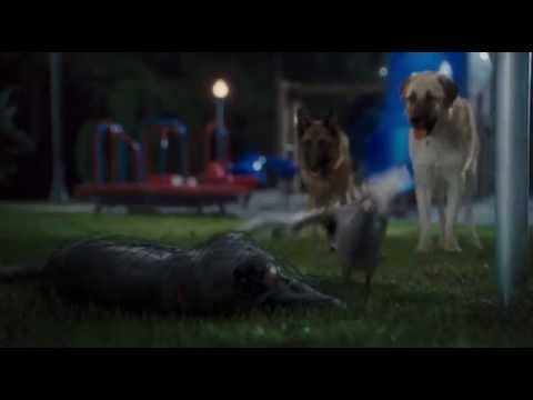 Кусок из фильма "Кошки против собак 2"