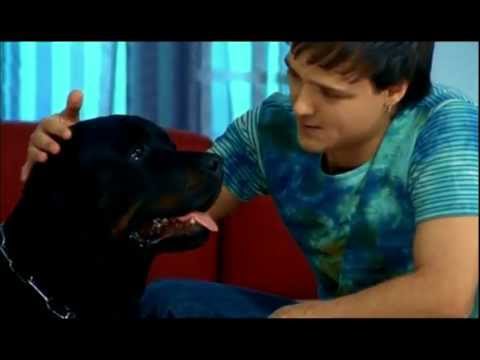 Юрий Шатунов - Не бойся /Official Video 2004