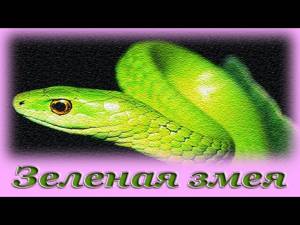 "Зеленая змея" - Аудио сказка для детей (Шарль Перро)