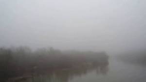 Родная природа.Новохоперск туман над рекой Хопер.Пение птиц весной. Звуки природы