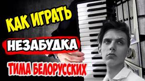 Обучение Тима Белорусских Незабудка ♫ на аккордеоне | под баян песни accordion cover music